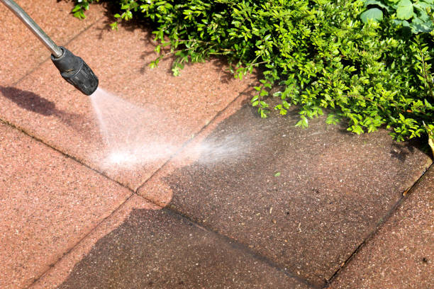 Best House Pressure Washing  in St Augustine Beach, FL